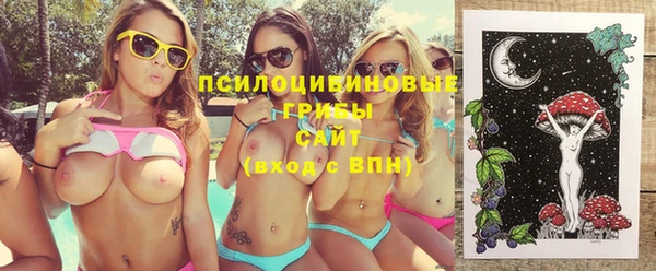 apvp Алексеевка