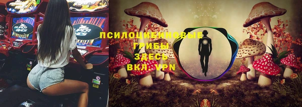 PSILOCYBIN Алексин