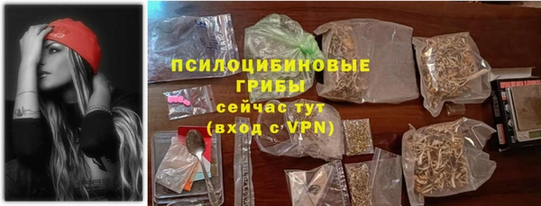 дживик Абаза