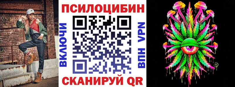это телеграм  Пошехонье  Галлюциногенные грибы Psilocybine cubensis 